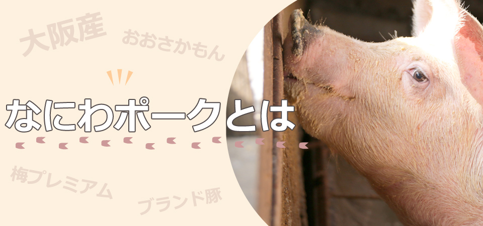 大阪産ブランド豚